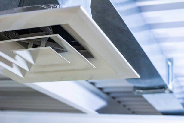 Best Air Duct Mold Removal  in Lake Ozark, MO