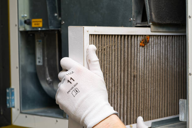 Best Air Duct Cleaning Company Near Me  in Lake Ozark, MO